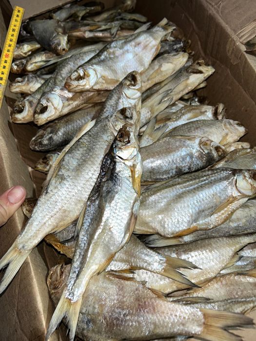 вобла сушенный