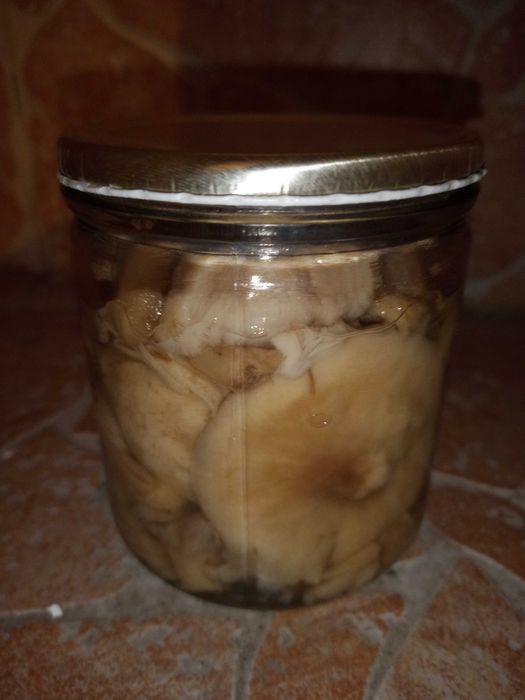 Домашни консерви на народни цени 1 евро