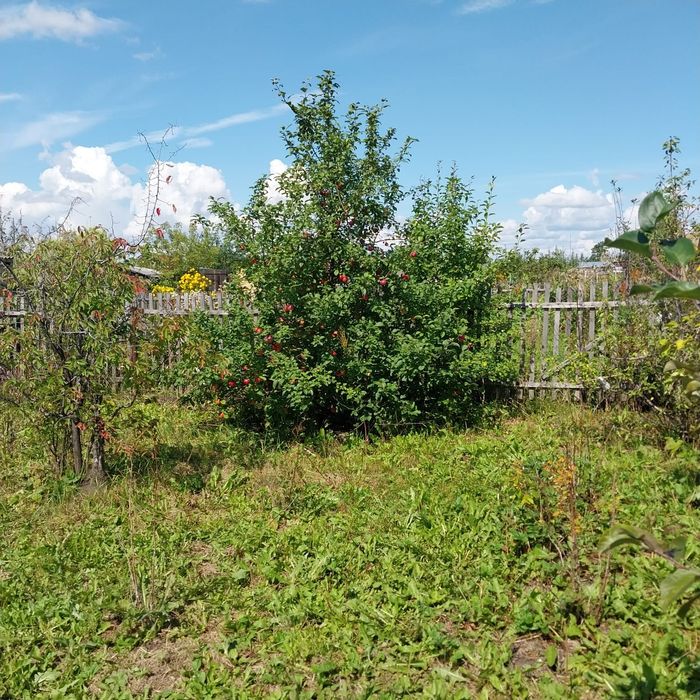 Продам дачу.новопавловка