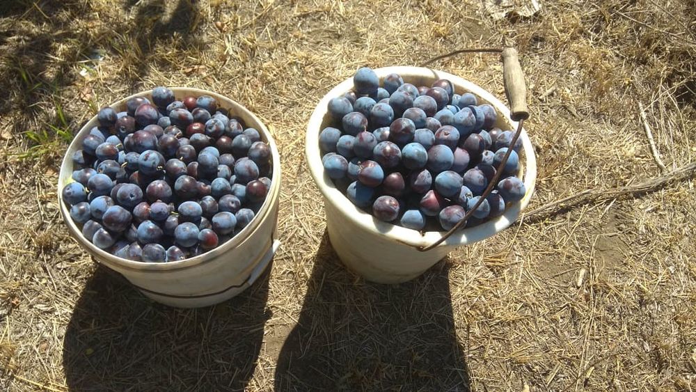 Продаётся  дачный участок п. Деркул