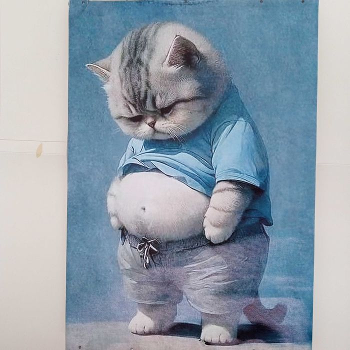 Веселый постер для дома или офиса, новый, размер почти 30 на 40 см