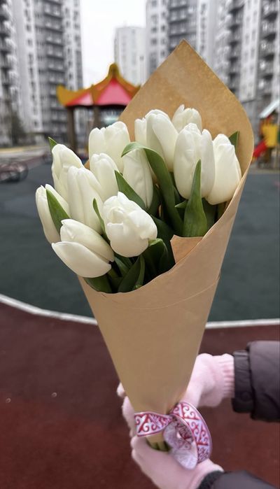 Свежие Тюльпаны