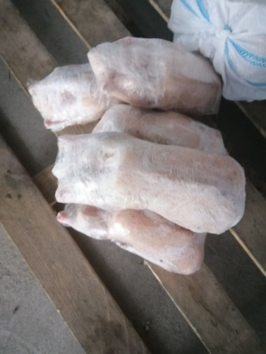 Мясо домашней утки