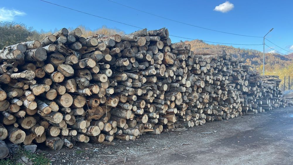 Comercializam Piatra Nisip Margaritar 16/31 8/16 lemne de foc