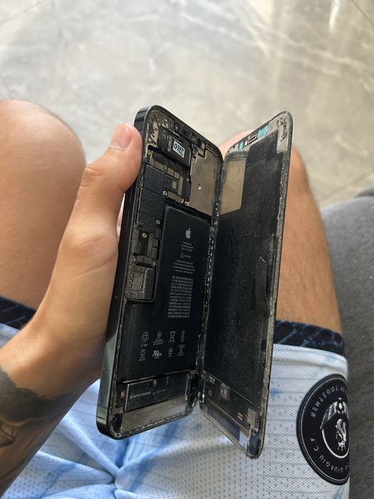Iphone 12 Pro Max, Piese