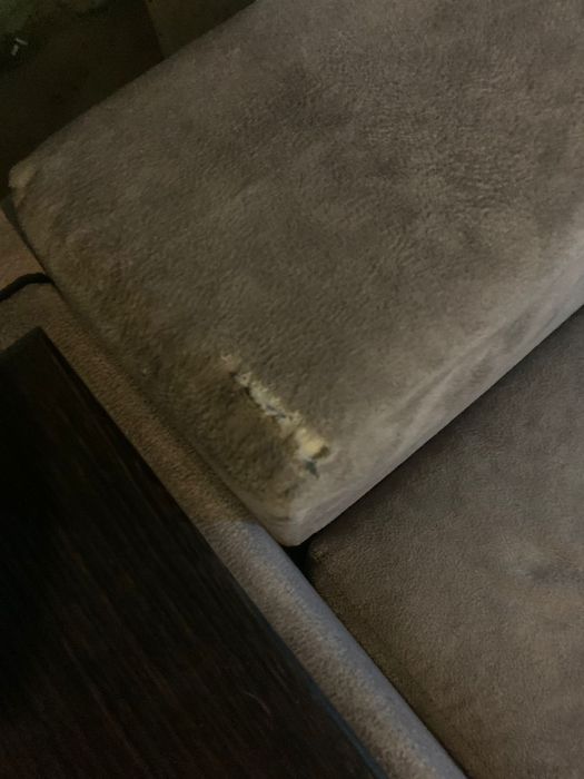 Диван продам недорого