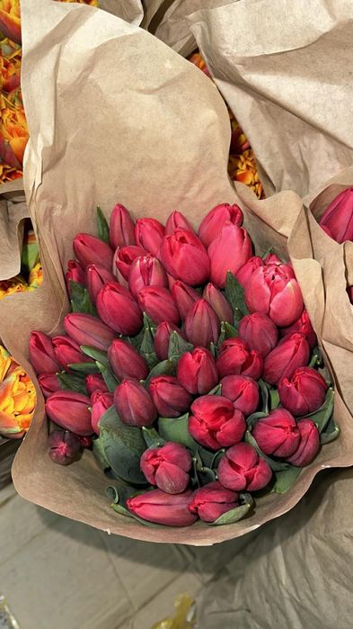 Продам цветы на 8 марта