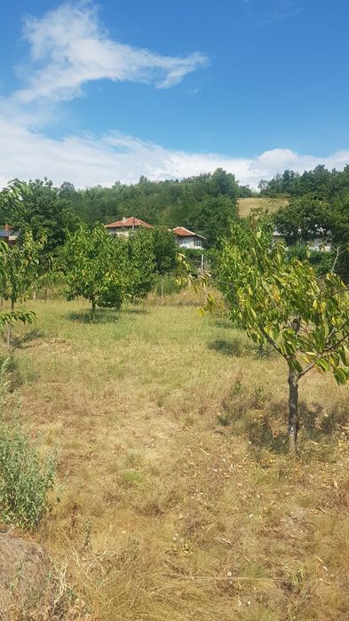 Продава парцел в с.Мламолово