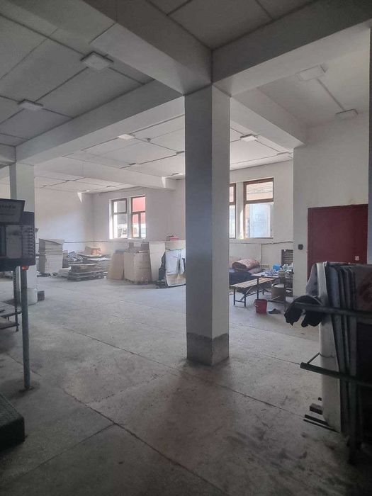 Bino (ko'chmas mulk)