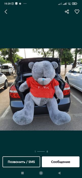 Optimi: Teddy Teddi Teddiy / ТЕДДИ (170m)