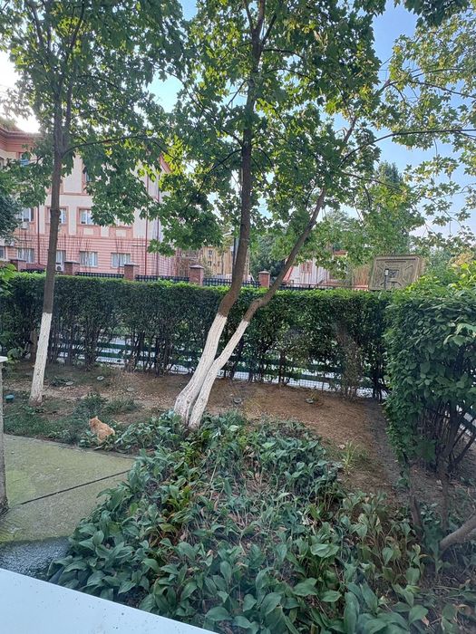 Apartament -2 camere