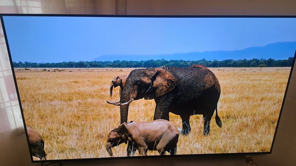 LG OLED 55 C1 телевизор