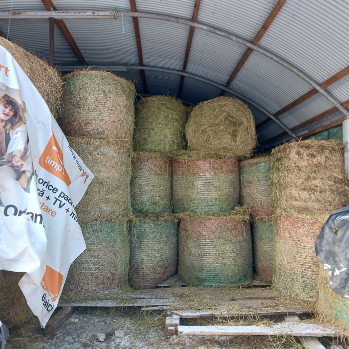 baloti  lucerna uscati si infoliati 130x120