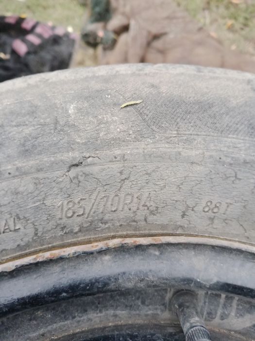 Продам зимнюю резину.
