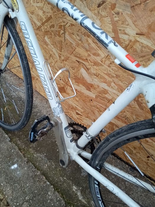 Cursiera specialized dolce