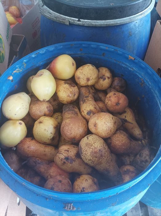 De vânzare struguri