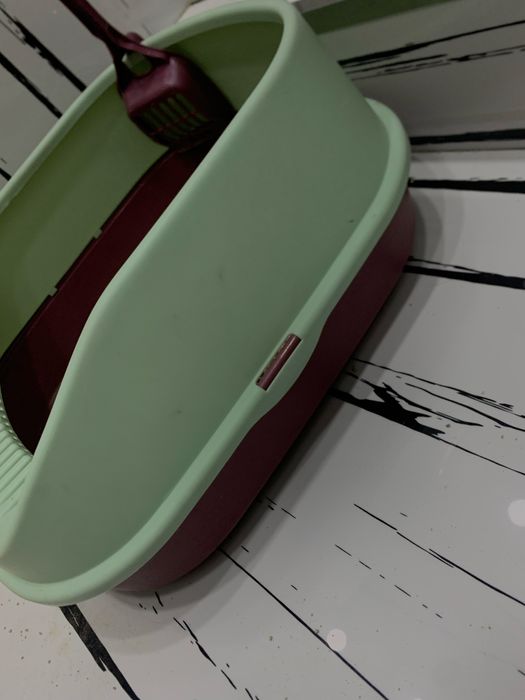 Британский кошка