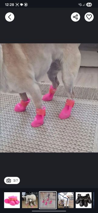 încălțăminte cizme câini pisici papuci ghetuțe câini