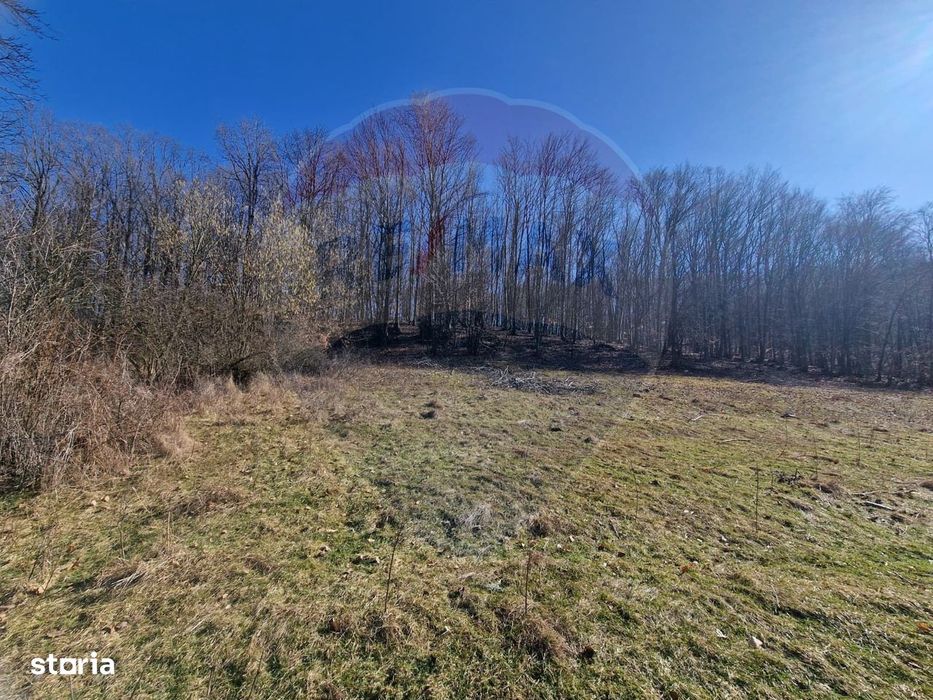 Teren de Vânzare în Pâncești (Sascut)