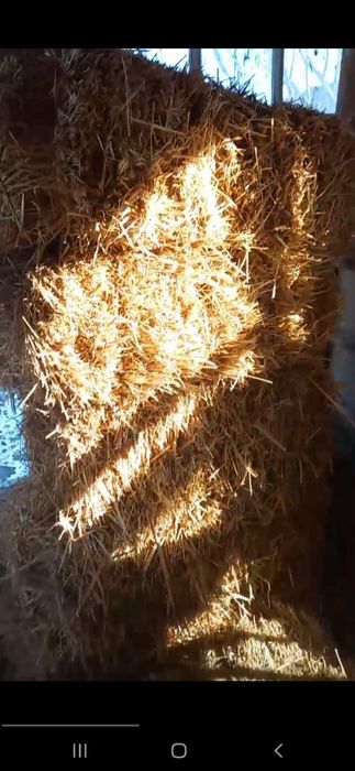 Beda pres 35000so'm,  samon pres 25000so'm  yana kelishamiz