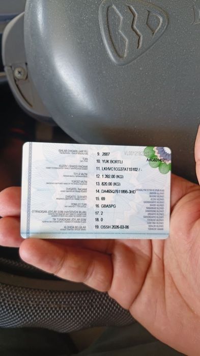 Китайский лабо продается