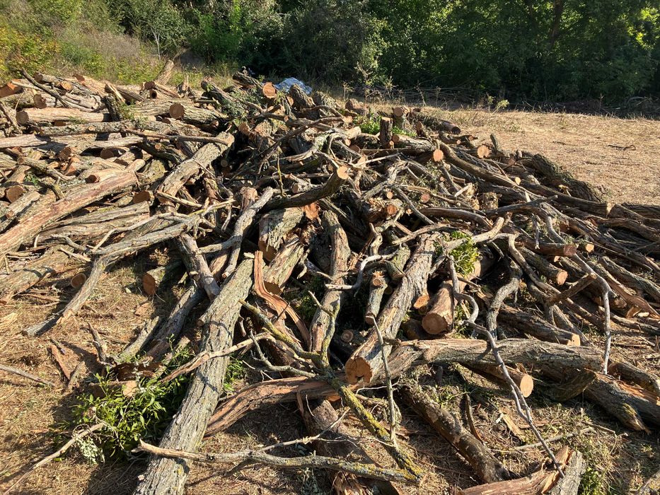 Акация - Дървесина за обработка