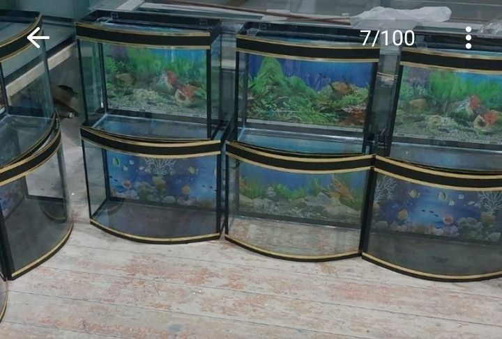 Аквариум разные виды