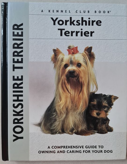 Carti training Yorkshire Terrier