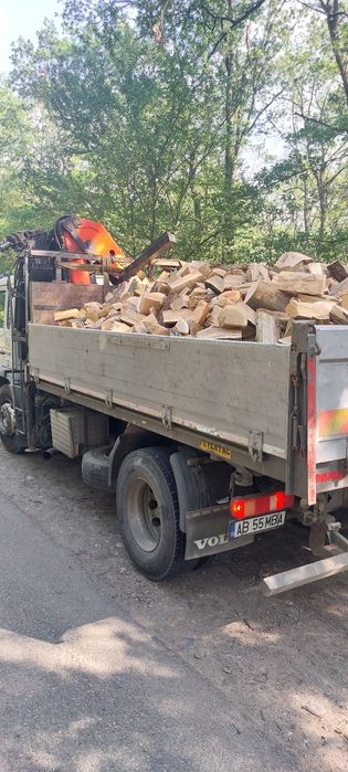Lemn foc fag buștean  340 lei sterul