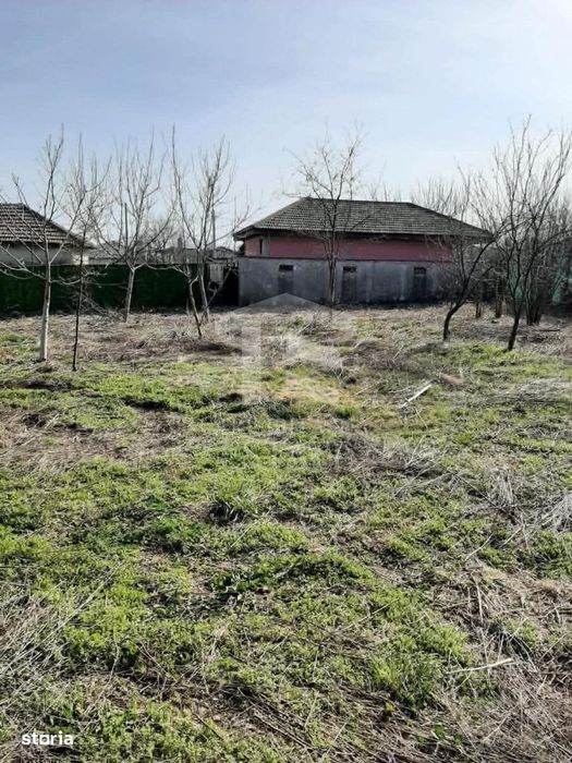Teren intravilan 2562mp Loc 23 August | Ideal locuiță sau casă vacanță