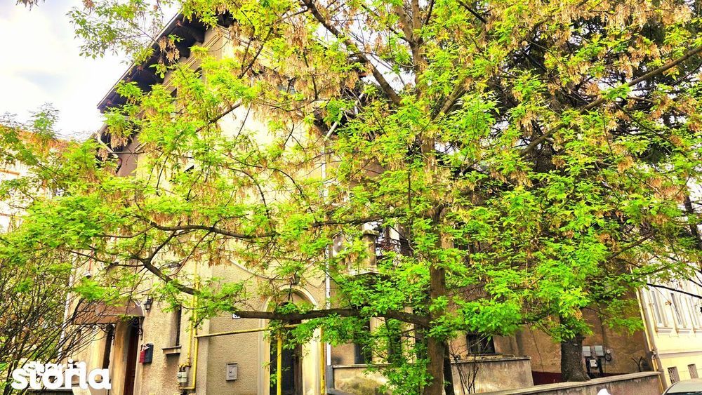 Apartament in vila plus garsoniera Aviatorilor / Herăstrău