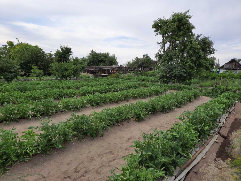 Продам дачу на 2-ой водоколонке