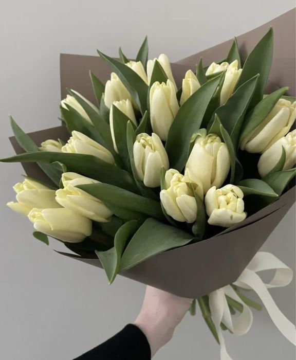 Цветы тюльпаны голландия