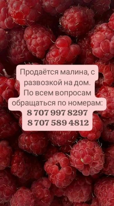 Малина домашняя местная