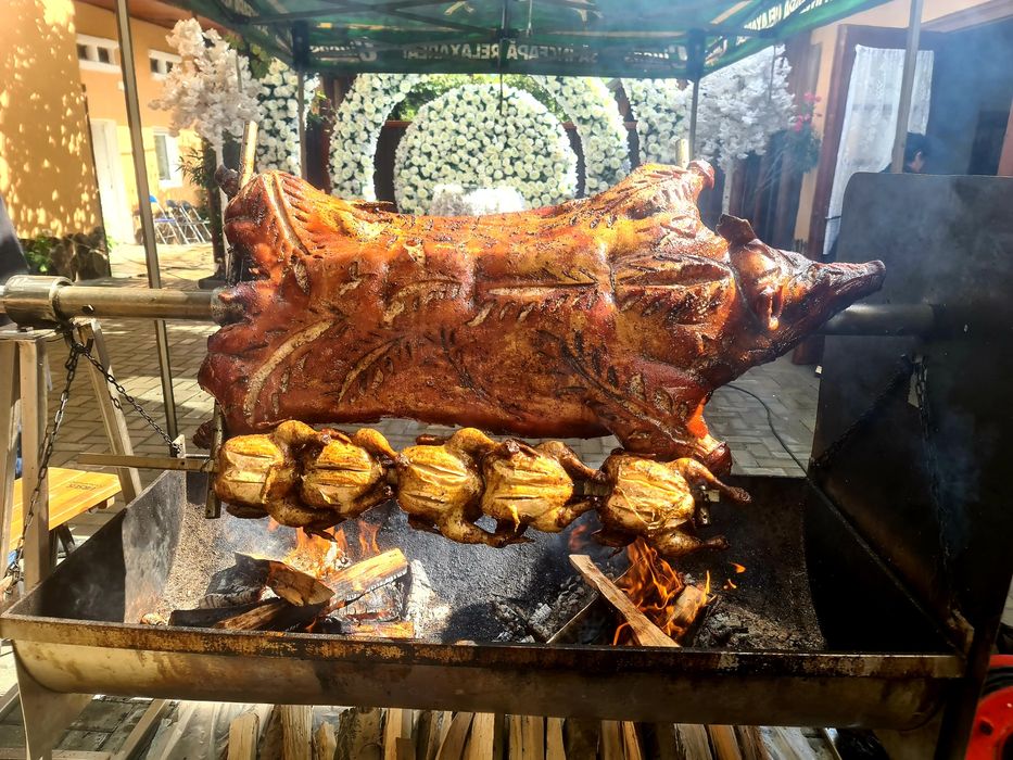 Protap rotisor evenimente