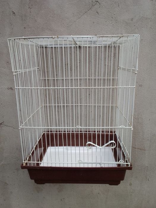Colivie pentru animalutul vostru