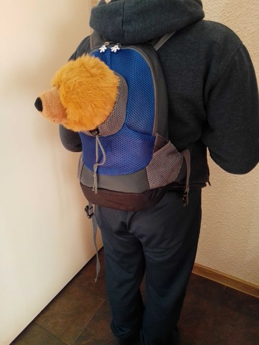 Раничка за домашен любимец.