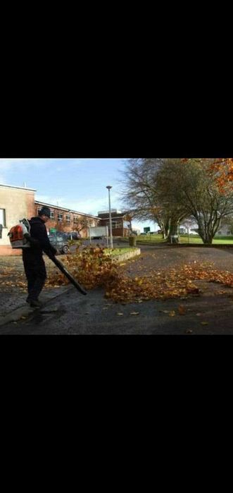 Воздуходувка-пылесос профессиональная