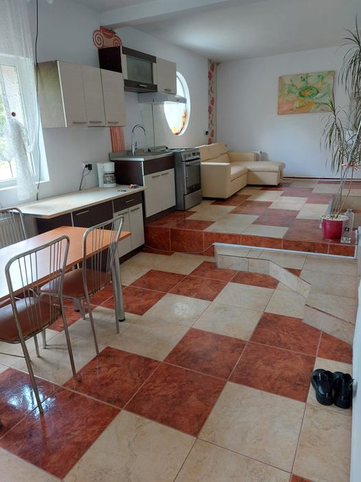 Proprietar, Camera cu baie proprie, la vila, Centru - UMF, N.Leon, doar pentru fete
