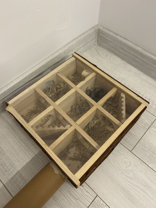 Cusca pentru hamsteri cu anexa de lemn