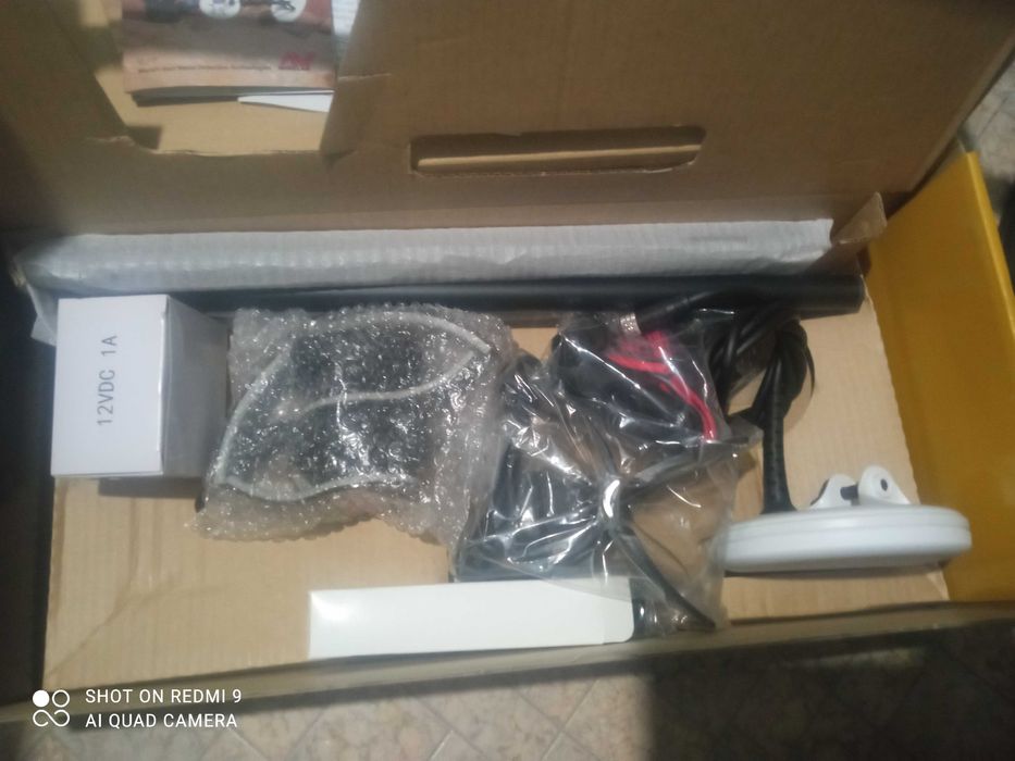 Minelab Goldmonster 1000