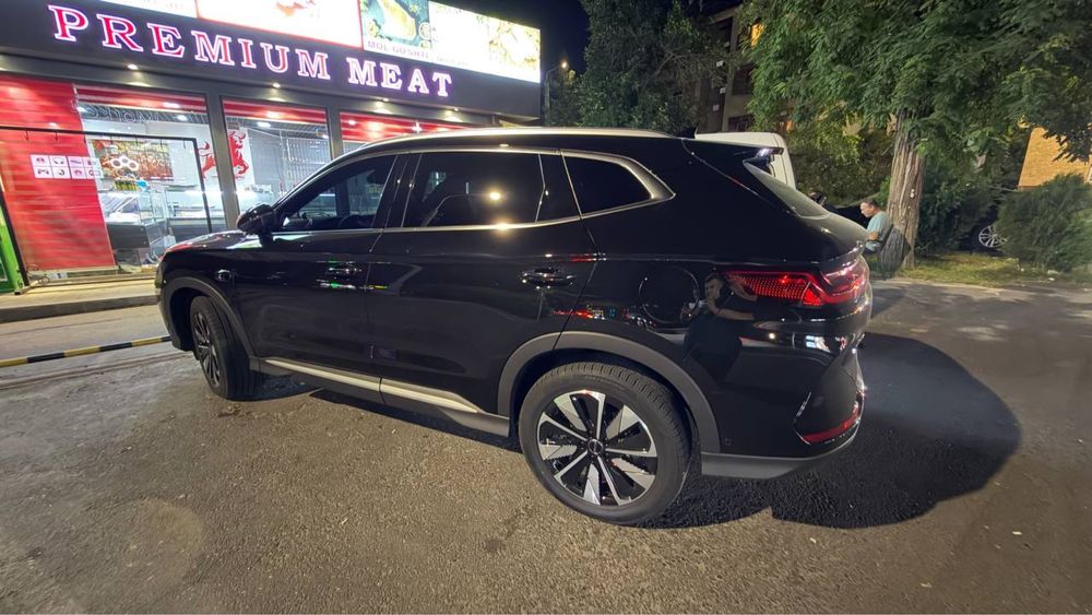 byd champion smart 605km