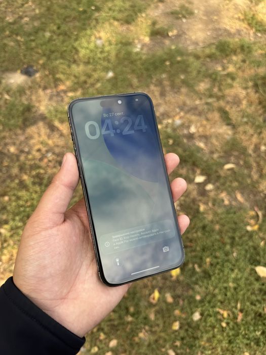 iPhone 15 Pro Max 256gb 100%