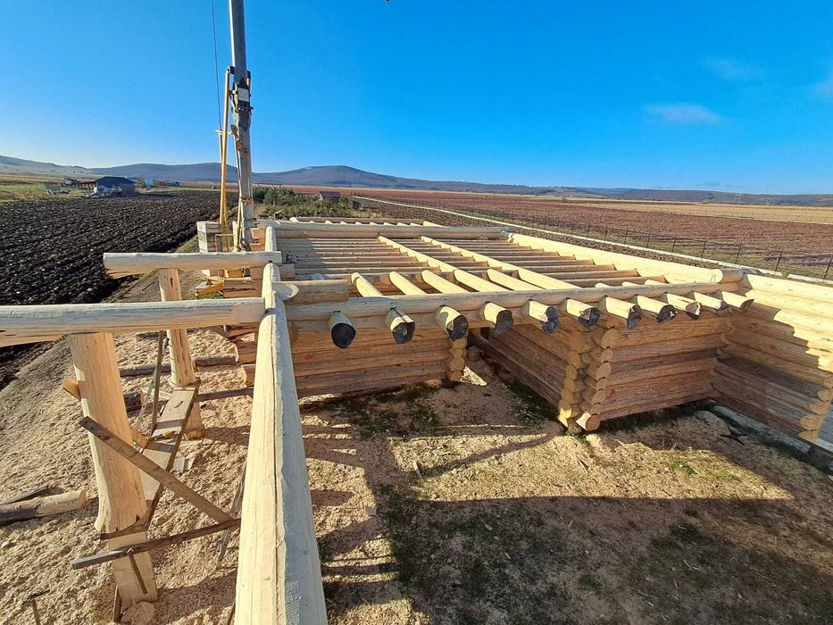 Case lemn rotund necalibrat constructii din lemn