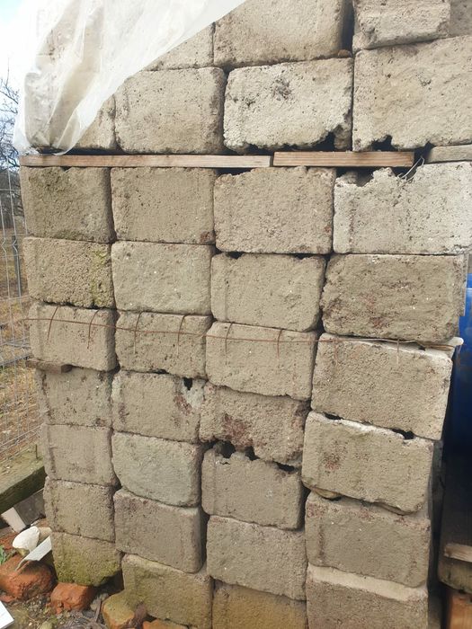 Vând boltari 5 lei bucata