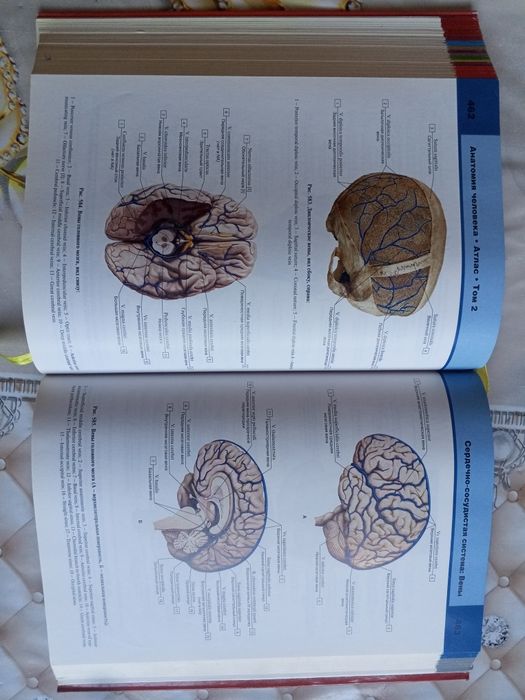 Atlas anatomiya sotiladi