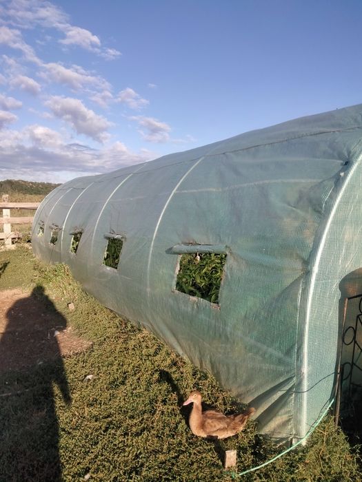 Solar 8m x 3m x 2.5m