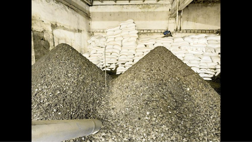 Жмых рапсовый.