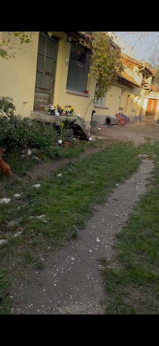 Casa de vanzare /inchiriat