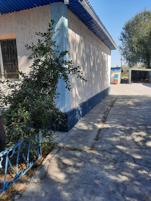 Большои теплыи дом!